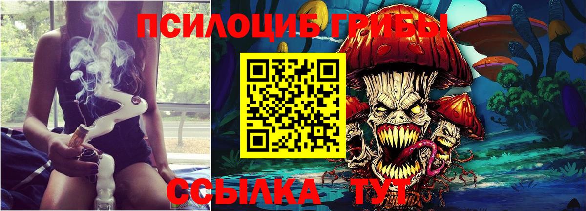 Псилоцибиновые грибы Cubensis Пушкино