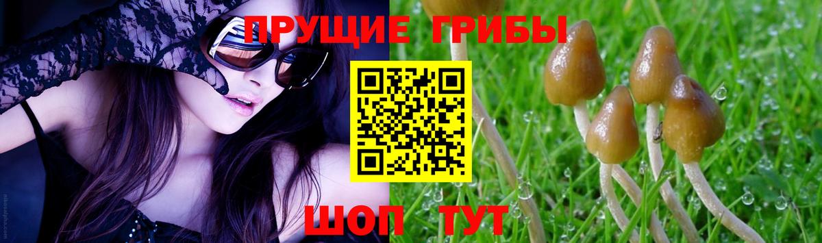 Пушкино  Псилоцибиновые грибы мицелий  Вход с VPN 